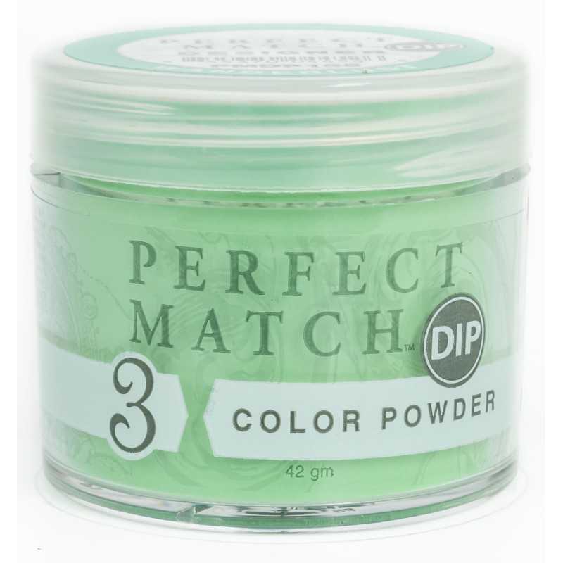 Perfect Match Powder DIP  PMDP155 proszek do manicure tytanowego 42g