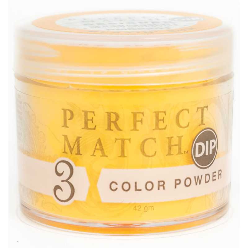 Perfect Match Powder DIP  PMDP201 proszek do manicure tytanowego 42g