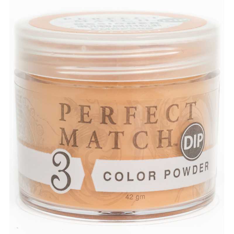 Perfect Match Powder DIP  PMDP205 proszek do manicure tytanowego 42g