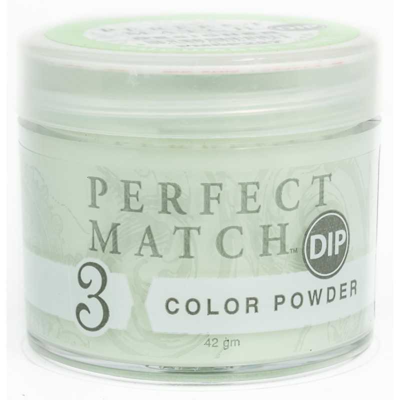 Perfect Match Powder DIP  PMDP227 proszek do manicure tytanowego 42g