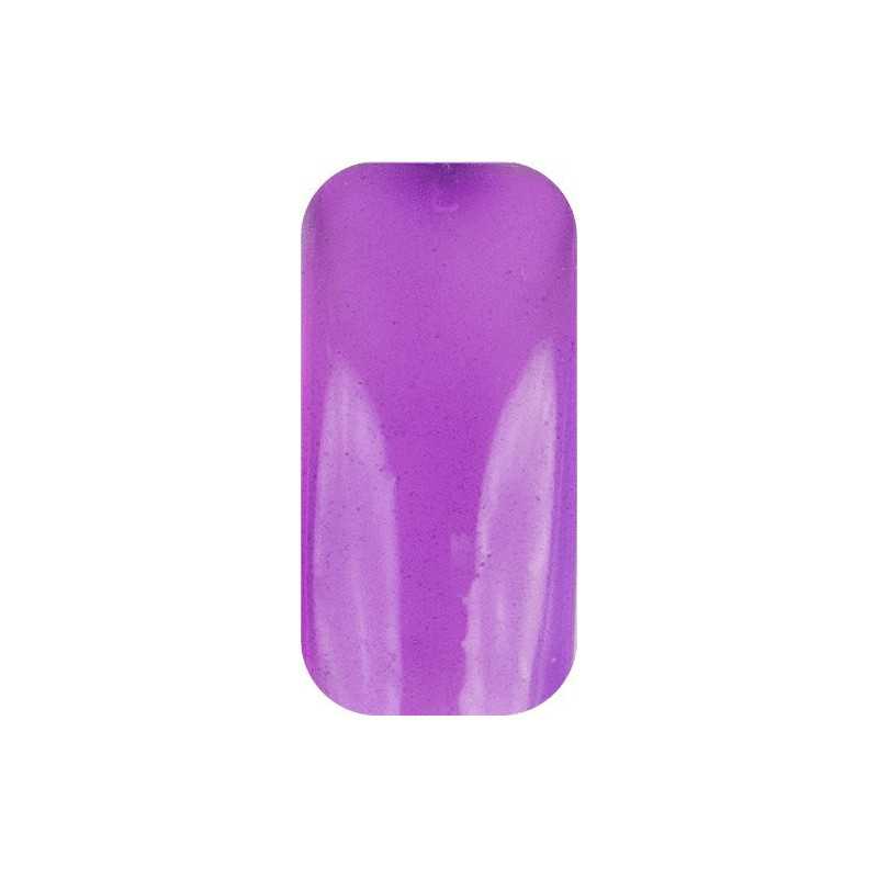 Żel transparentny TGP02 Lechat Perfect Match – Perception – Grape Jelly 15ml